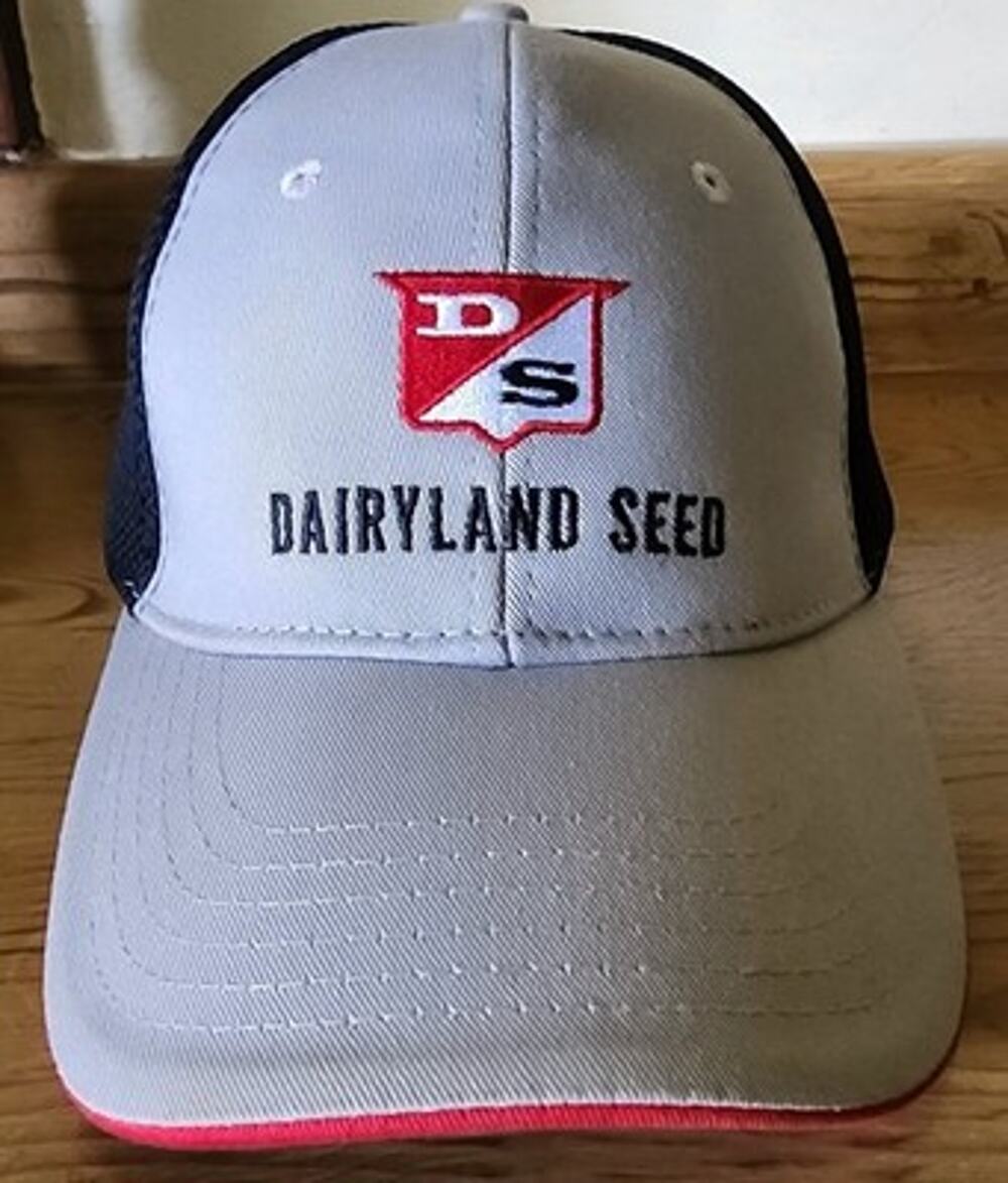 Dairyland Seed Trucker Hat Men's One Size Adjustable Gray Black Red Cap